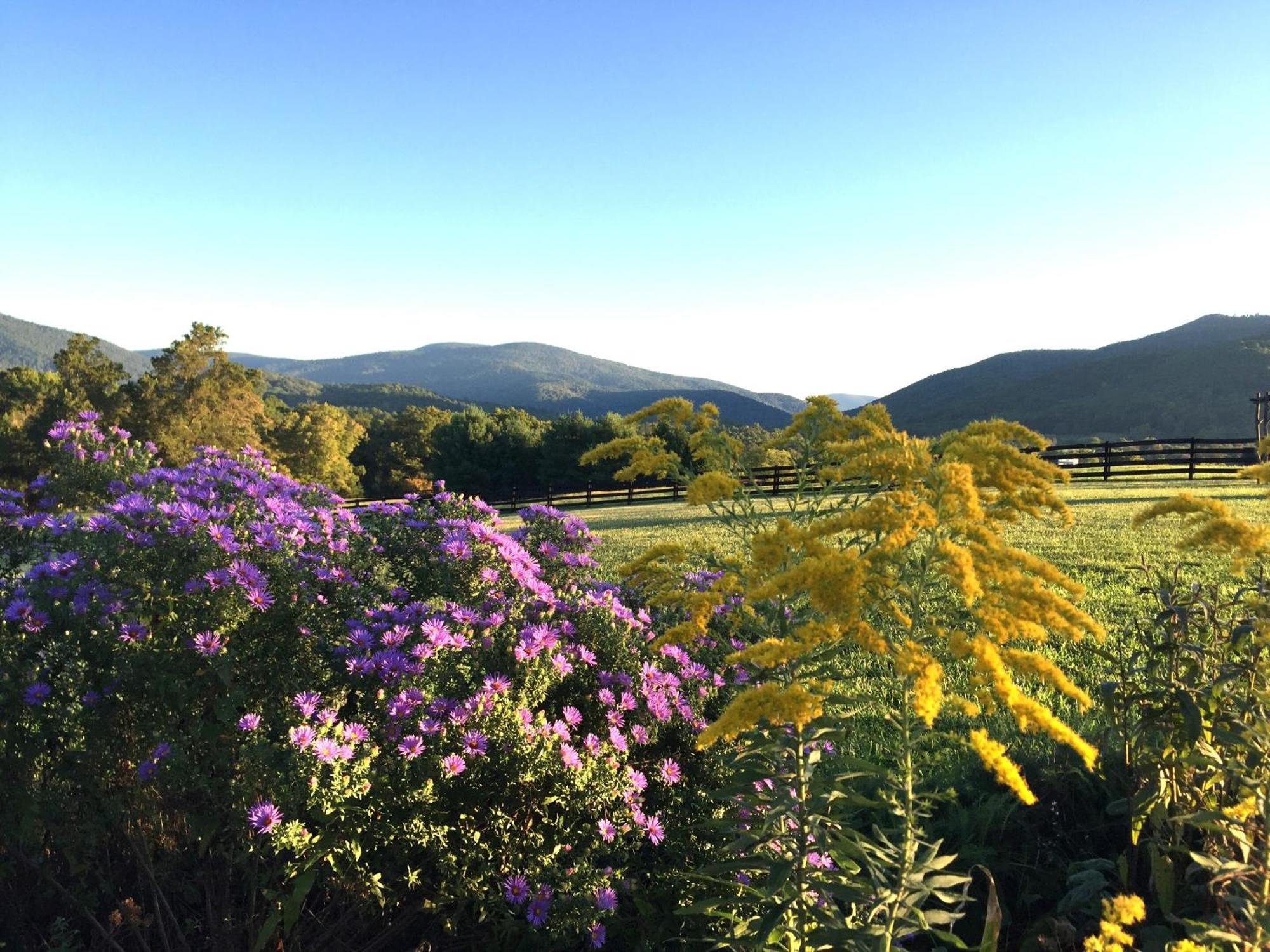 Montfair Resort Farm Crozet Rum bild