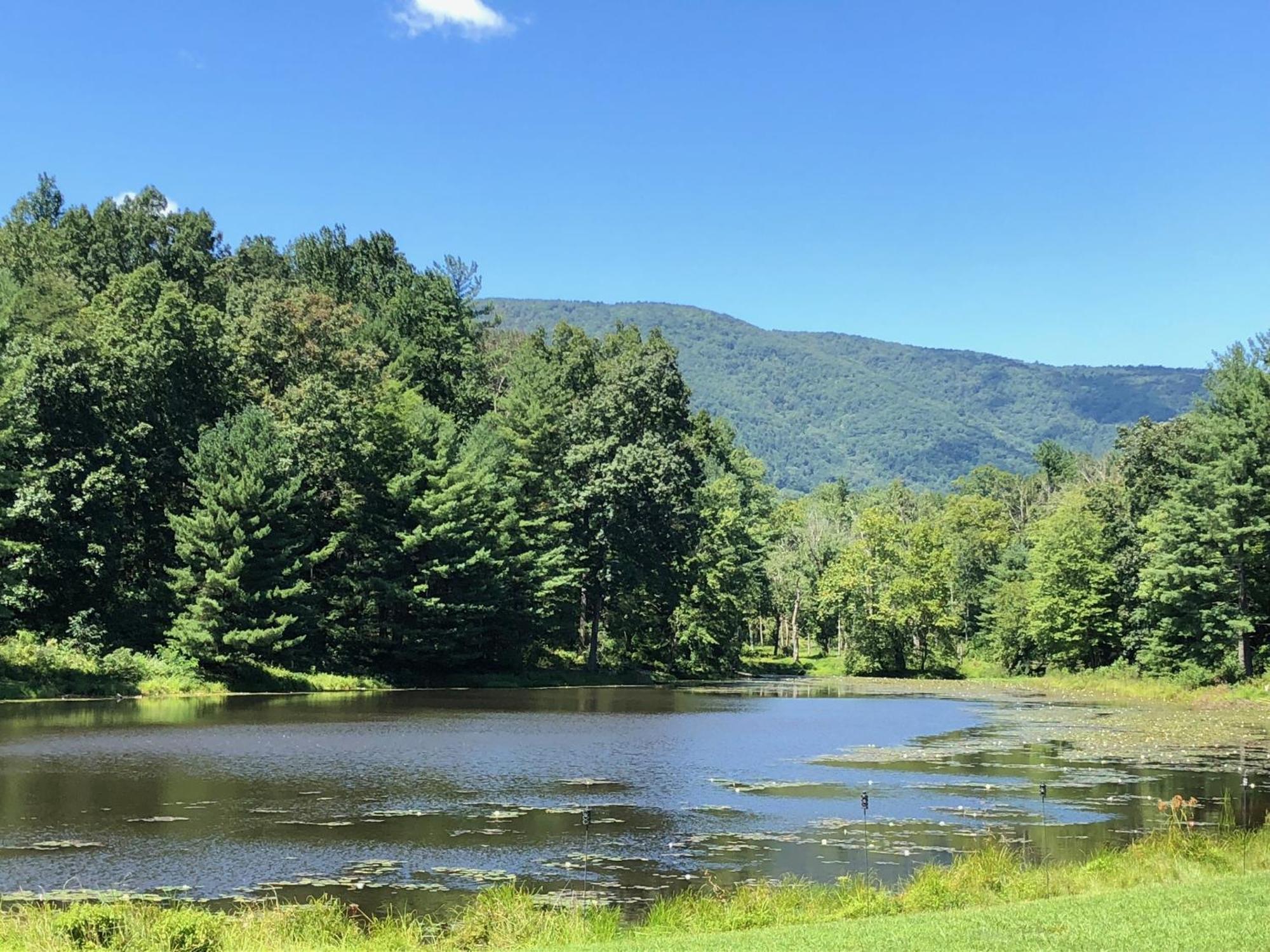 Montfair Resort Farm Crozet Rum bild