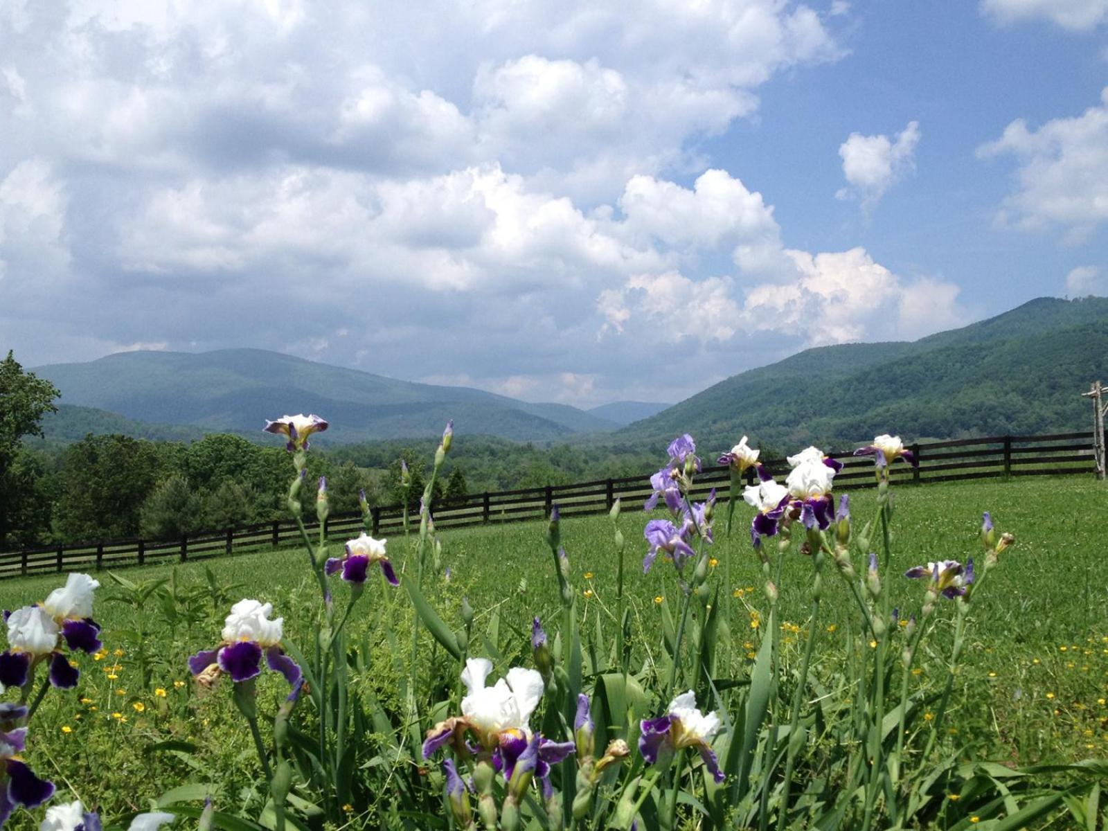 Montfair Resort Farm Crozet Rum bild