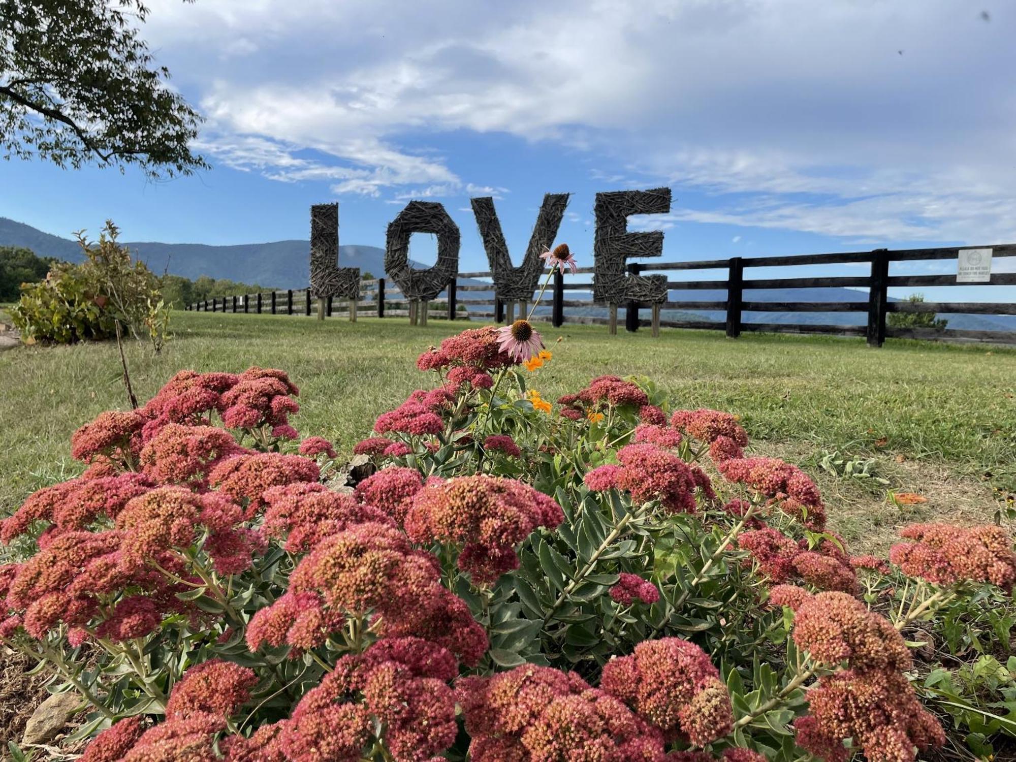 Montfair Resort Farm Crozet Rum bild